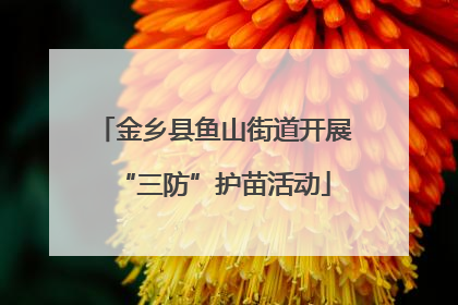 金乡县鱼山街道开展“三防”护苗活动