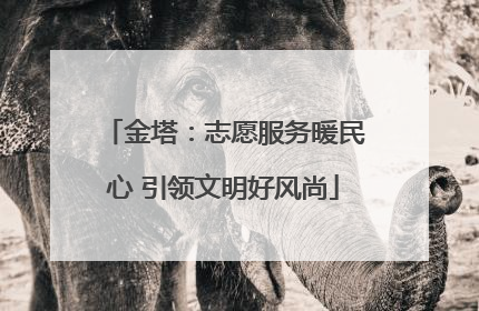 金塔：志愿服务暖民心 引领文明好风尚