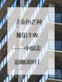 金色芒种·豫见丰收——中原麦浪翻滚时