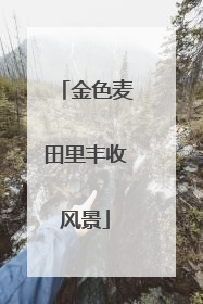 金色麦田里丰收风景