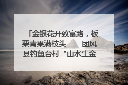 金银花开致富路，板栗青果满枝头——团风县钓鱼台村“山水生金”谱写共富新篇章