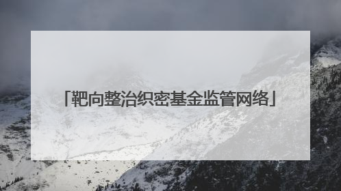 靶向整治织密基金监管网络