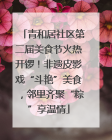 青和居社区第二届美食节火热开锣！非遗皮影戏“斗艳”美食，邻里齐聚“粽”享温情