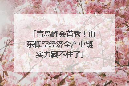 青岛峰会首秀！山东低空经济全产业链实力藏不住了