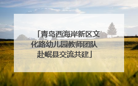 青岛西海岸新区文化路幼儿园教师团队赴岷县交流共建