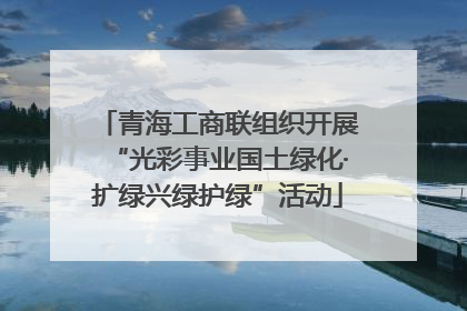 青海工商联组织开展“光彩事业国土绿化·扩绿兴绿护绿”活动
