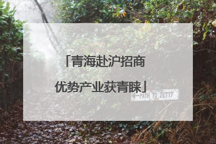 青海赴沪招商 优势产业获青睐