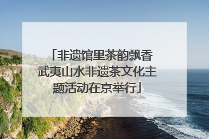 非遗馆里茶韵飘香 武夷山水非遗茶文化主题活动在京举行
