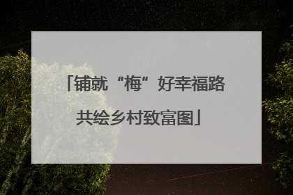 铺就“梅”好幸福路 共绘乡村致富图