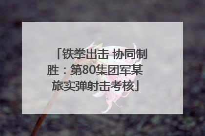 铁拳出击 协同制胜：第80集团军某旅实弹射击考核