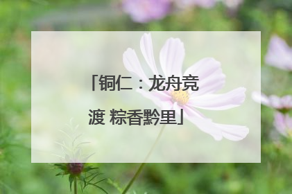 铜仁：龙舟竞渡 粽香黔里