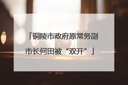 铜陵市政府原常务副市长何田被“双开”