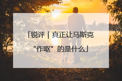 锐评｜真正让马斯克“作呕”的是什么