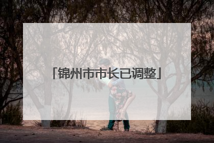 锦州市市长已调整