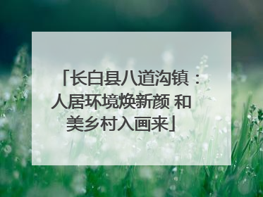 长白县八道沟镇：人居环境焕新颜 和美乡村入画来