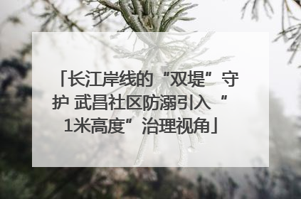 长江岸线的“双堤”守护 武昌社区防溺引入“1米高度”治理视角