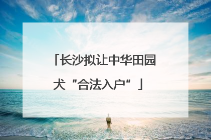 长沙拟让中华田园犬“合法入户”