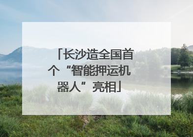 长沙造全国首个“智能押运机器人”亮相