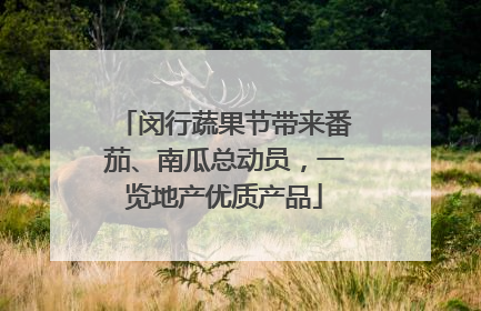 闵行蔬果节带来番茄、南瓜总动员，一览地产优质产品