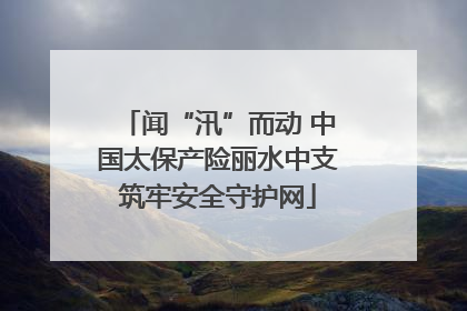 闻“汛”而动 中国太保产险丽水中支筑牢安全守护网