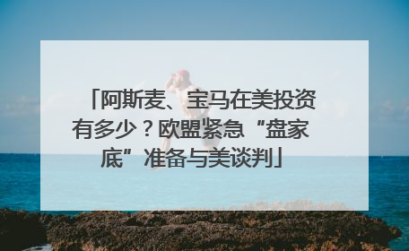 阿斯麦、宝马在美投资有多少？欧盟紧急“盘家底”准备与美谈判