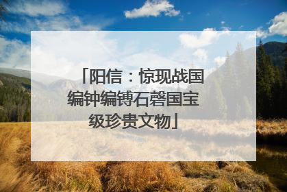 阳信：惊现战国编钟编镈石磬国宝级珍贵文物