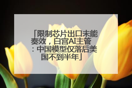 限制芯片出口未能奏效，白宫AI主管：中国模型仅落后美国不到半年
