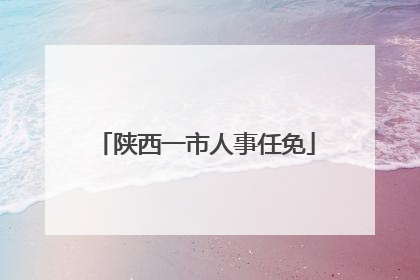 陕西一市人事任免