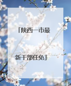 陕西一市最新干部任免