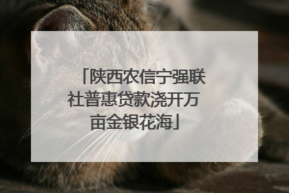 陕西农信宁强联社普惠贷款浇开万亩金银花海