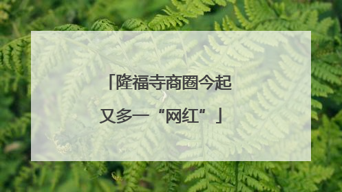 隆福寺商圈今起又多一“网红”