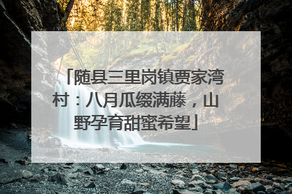 随县三里岗镇贾家湾村：八月瓜缀满藤，山野孕育甜蜜希望