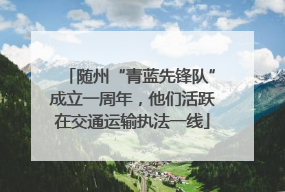 随州“青蓝先锋队”成立一周年，他们活跃在交通运输执法一线