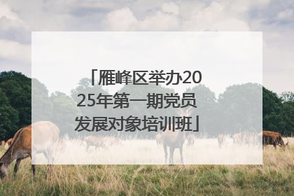 雁峰区举办2025年第一期党员发展对象培训班