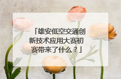 雄安低空交通创新技术应用大赛初赛带来了什么？