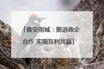 雅安雨城：推进政企合作 实现互利共赢