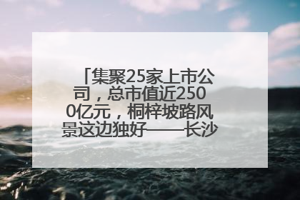 集聚25家上市公司，总市值近2500亿元，桐梓坡路风景这边独好——长沙有条“上市路”