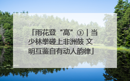 雨花登“高”③｜当少林拳碰上非洲鼓 文明互鉴自有动人韵律