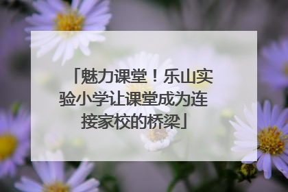 魅力课堂！乐山实验小学让课堂成为连接家校的桥梁