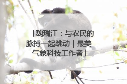 魏瑞江：与农民的脉搏一起跳动｜最美气象科技工作者