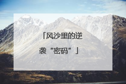 风沙里的逆袭“密码”