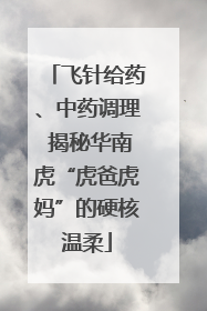 飞针给药、中药调理 揭秘华南虎“虎爸虎妈”的硬核温柔