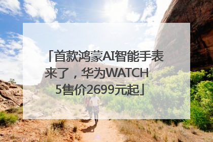 首款鸿蒙AI智能手表来了，华为WATCH 5售价2699元起