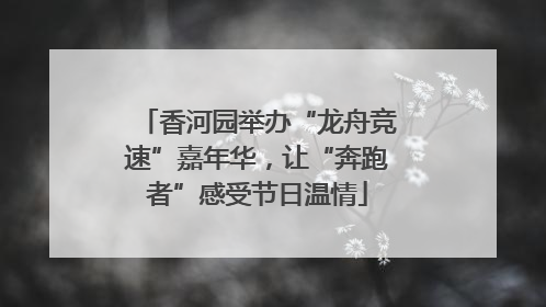 香河园举办“龙舟竞速”嘉年华，让“奔跑者”感受节日温情