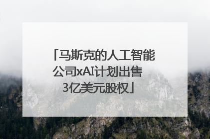 马斯克的人工智能公司xAI计划出售3亿美元股权