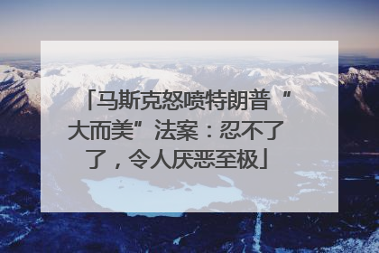 马斯克怒喷特朗普“大而美”法案：忍不了了，令人厌恶至极