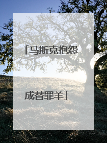 马斯克抱怨成替罪羊