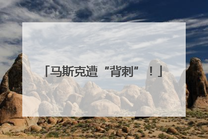 马斯克遭“背刺”！