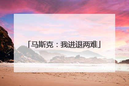 马斯克：我进退两难