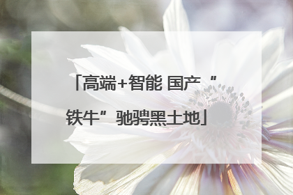高端+智能 国产“铁牛”驰骋黑土地